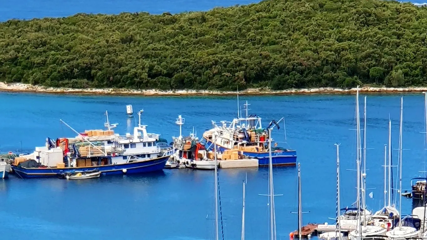 Fishing boats in Vrsar harbour