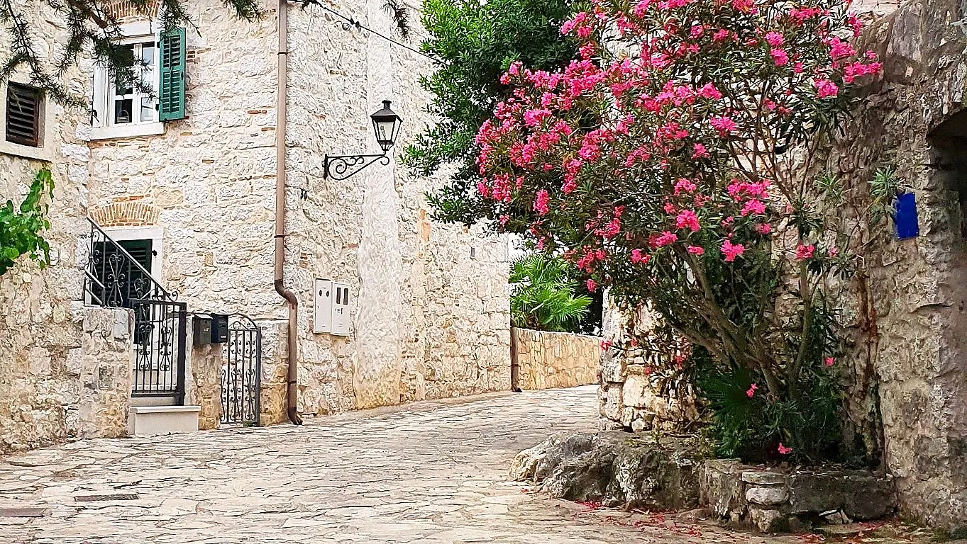 Old-town stone street with oleander in bloom