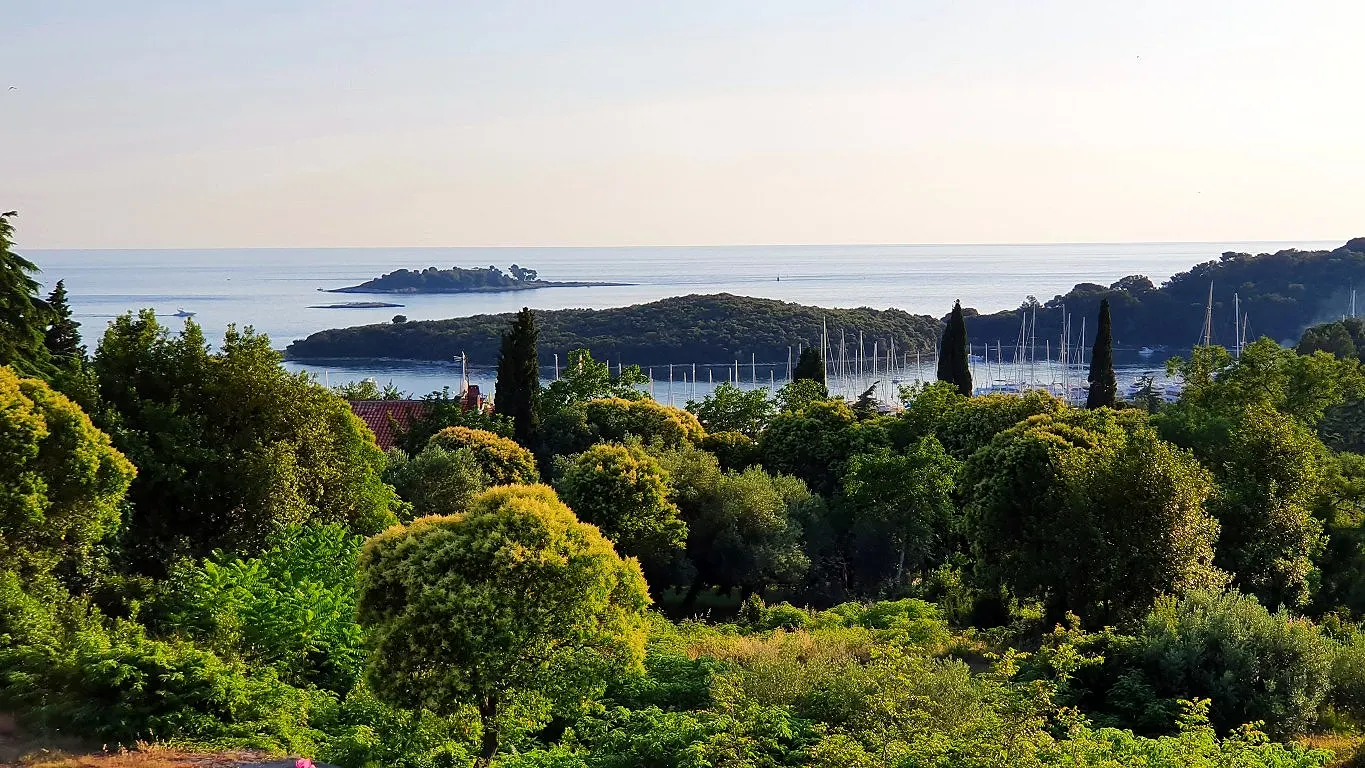 Green coastline and sea near Vrsar