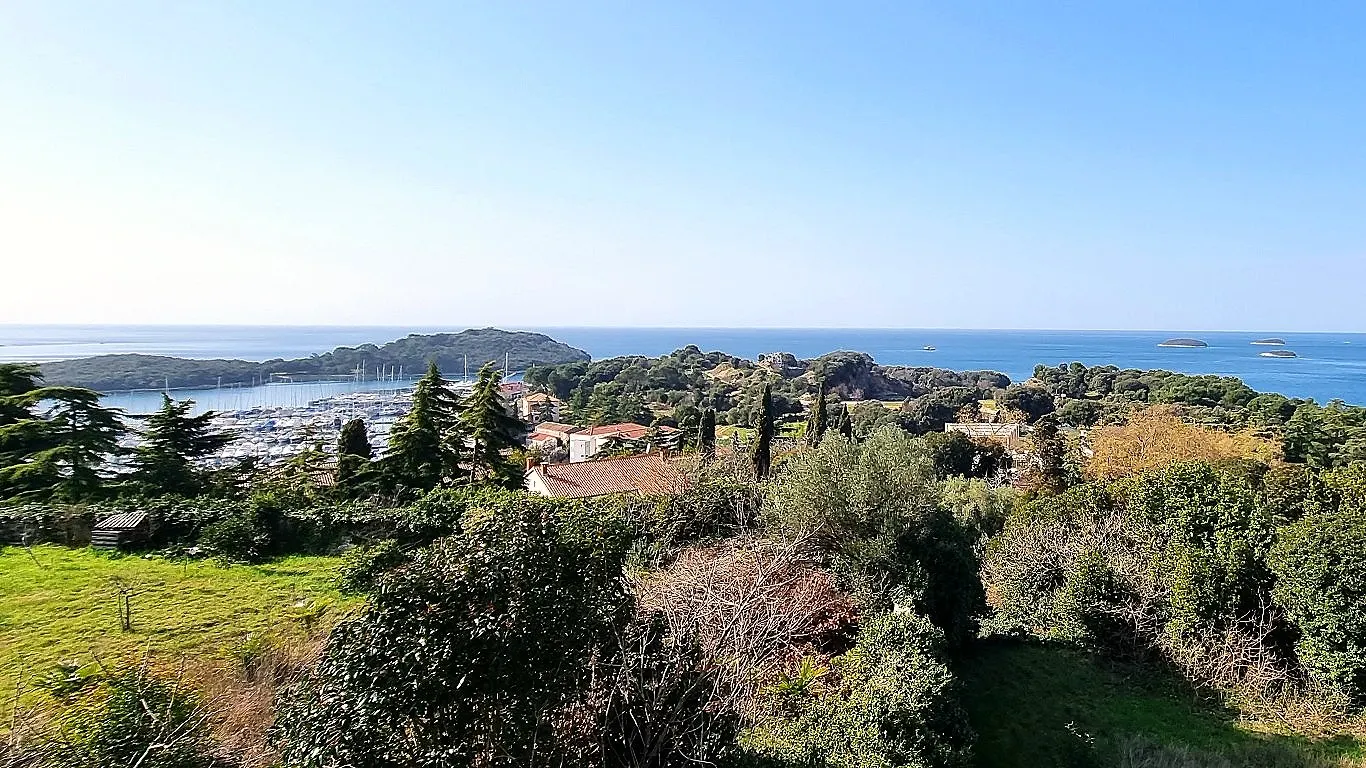 Houses on a green hillside above the sea